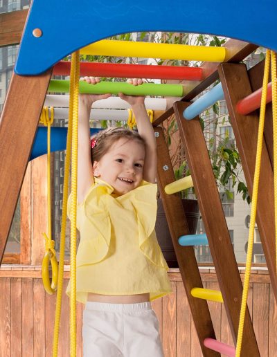 jungle gym